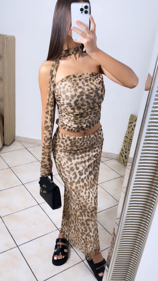 Ensemble LOAN [LEOPARD]
